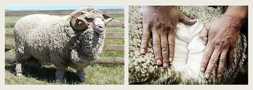 Одеяло шерстяное зимнее из 100% шерсти мериноса MUJI (220*240, Япония) / арт. 287-7