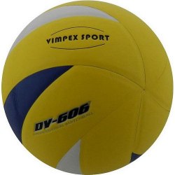 Мяч волейбольный Vimpex Sport VLPU004