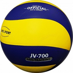 Мяч волейбольный Vimpex Sport VLPU 001