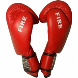Перчатки бокс EBG-536 боксерские перчатки для бокса FIRE 8oz синие