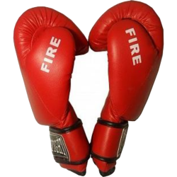 Перчатки бокс EBG-536 боксерские перчатки для бокса FIRE 10oz синие