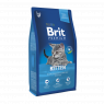 Сухой корм НА РАЗВЕС Brit Premium Cat Kitten НА РАЗВЕС 100г. Для котят с курицей
