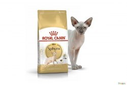 Сухой корм Royal Canin Kitten Sphynx 2кг