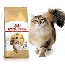 Сухой корм Royal Canin Siberian 2 кг