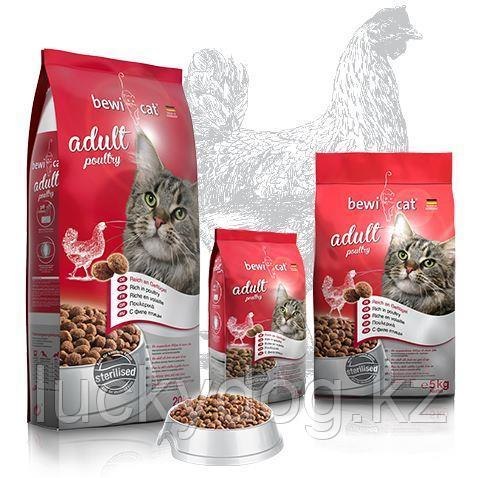 Сухой корм Bewi-Cat Adult 5 kg, для взрослых кошек с курицей