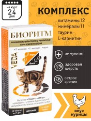 Мультивитаминное лакомство Биоритм для кошек со вкусом курицы, 48 таб