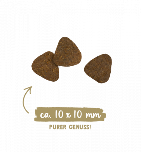 Сухой корм Sanabelle Хэа-Скин 8 кг