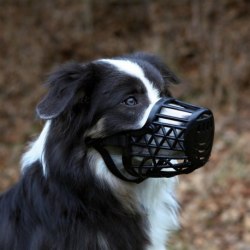 Намордник TRIXIE для собак S-M, пластик, с нейлоновым ремешком, 22см черный