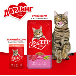 Сухой корм НА РАЗВЕС Дарлинг для кошек мясо/овощи 1кг