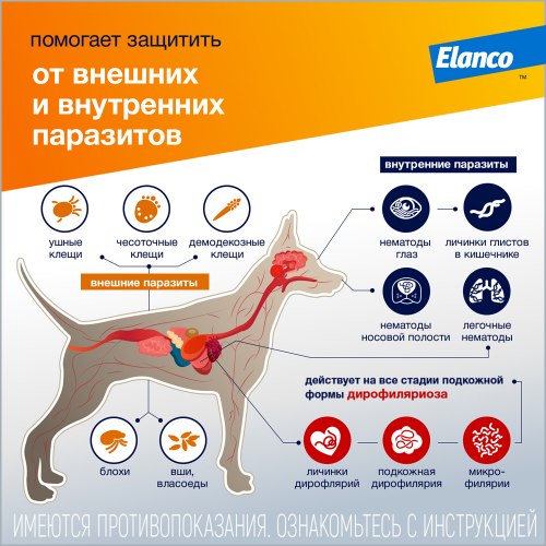Капли от блох,всех видов клещей и гельминтов Адвокат (Elanco) для собак от 4 до 10 кг - 1 пип