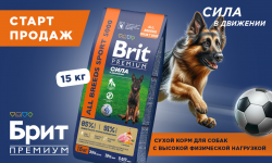 Сухой корм Brit Premium Adult Sport 5000 для собак с выс. затр. энергии 15 кг