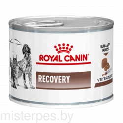 Влажный корм Royal Canin Recovery паштет для восстановления после антибиотиков 195г