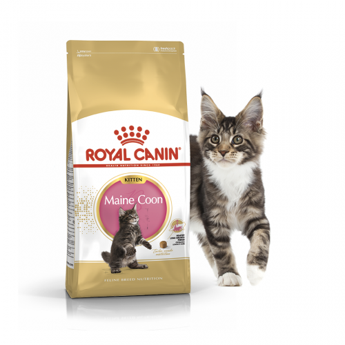 Сухой корм Royal Canin KITTEN MAINE COON - 10 кг, для котят породы Мейн кун