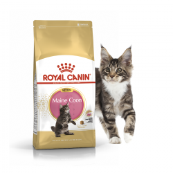 Сухой корм Royal Canin KITTEN MAINE COON - 2 кг, для котят породы Мейн кун