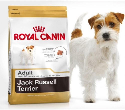 Сухой корм Royal Canin JACK RUSSELL ADULT - 1,5 кг