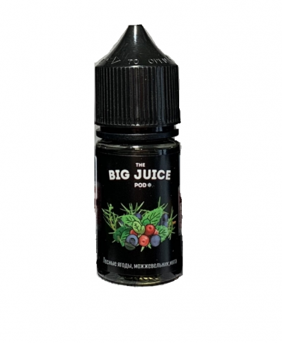 Жидкость Big Juice POD SALT - Лесные ягоды можжевельник мята 30 мл 50 мг