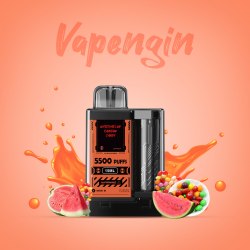 Одноразовый POD Vapengin - Watermelon Rainbow Candy 5500 puffs 5%