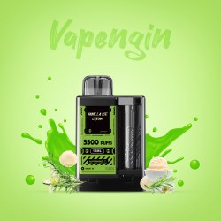 Одноразовый POD Vapengin - Vanilla Ice Cream 5500 puffs 5%