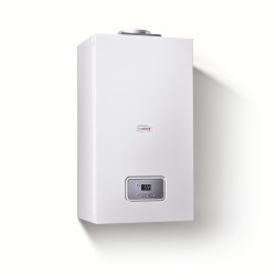 Газовый атмосферный двухконтурный котел Protherm Гепард 23 MOV