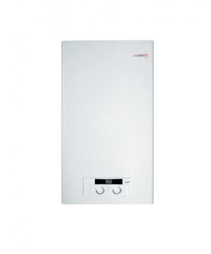 Газовый двухконтурный котел Protherm Рысь HK 28