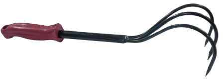 Пропольник круглый