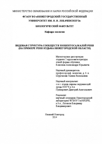 Стрейч - шланг для полива + пистолет в комплекте. Растягивается под напором до 26-30 метров. МО-1942