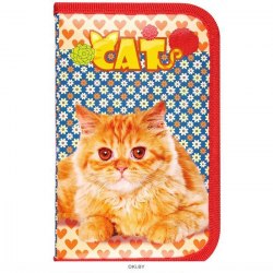 Пенал 1-секц, большой РЫЖИЙ КОТИК (ПН-5873) 190х115, глянц.ламинир.