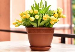 Горшок цветочный с поддоном Антик, D17, 1,6 л ,терракот 5PL0002
