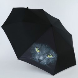 Зонт женский Nex 33941- 5