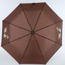 Зонт женский ArtRain 3511-8