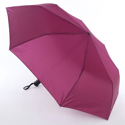 Зонт женский ArtRain 3641-10