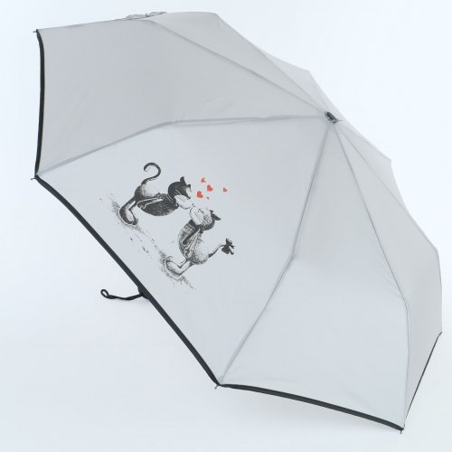 Зонт женский ArtRain 3517-4