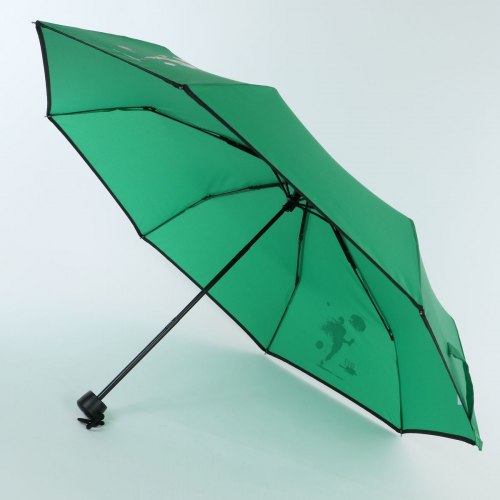 Зонт женский ArtRain 3517-4