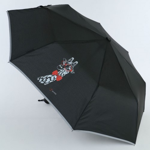 Зонт женский ArtRain 3517-5