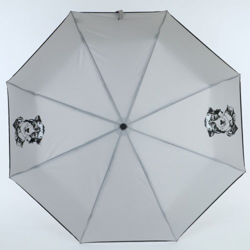 Зонт женский ArtRain 3517-8