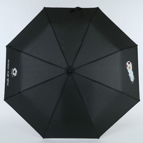 Зонт женский ArtRain 3517-9