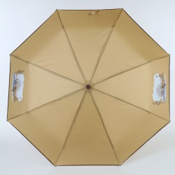 Зонт женский ArtRain 3511-6