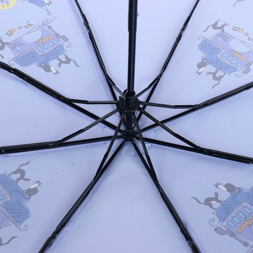 Зонт женский ArtRain 3216-1