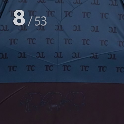 Зонт женский Три Слона 4808-5