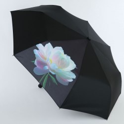 Зонт женский Nex 33941 лотос